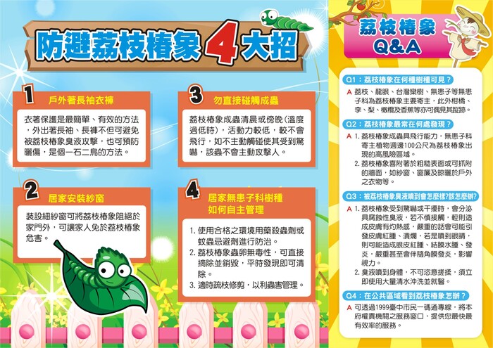 荔枝椿象化學共同防治